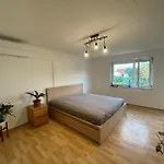 Beautiful City Apartment „Shakespeare“