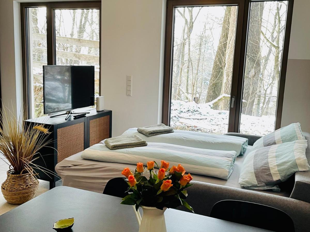 Luxury With View Apartment