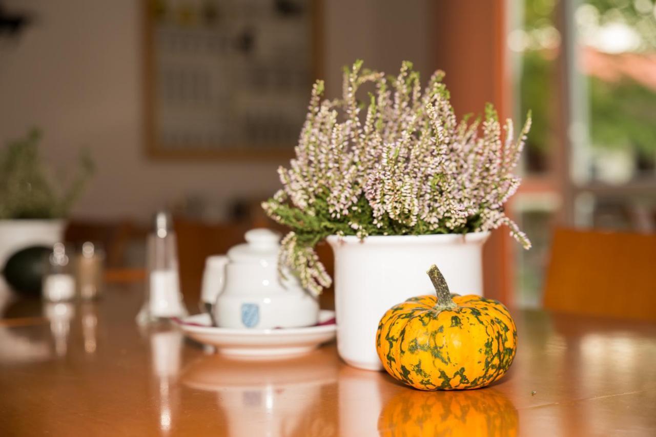 Gastehaus Olympia Reitanlage Munchen-riem Bed & Breakfast Munich