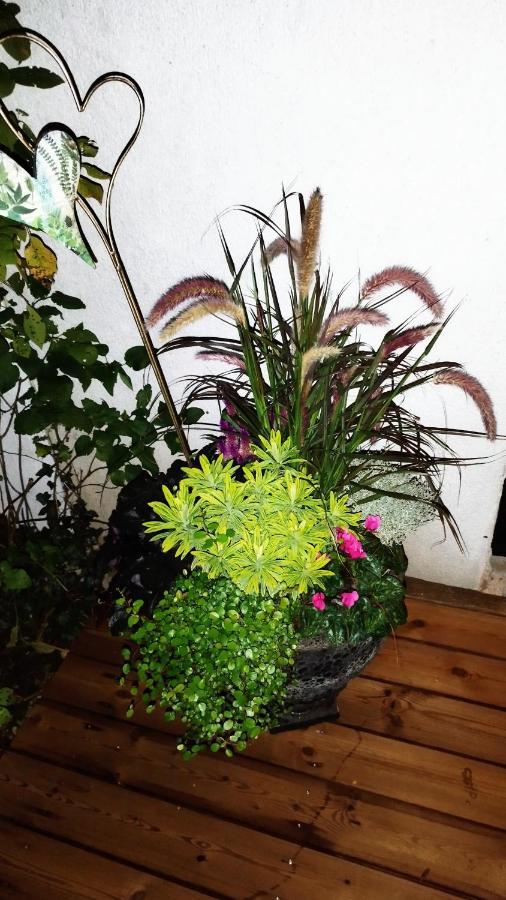 Luxury tent Atelier & Gardenhouse Glamping Munich