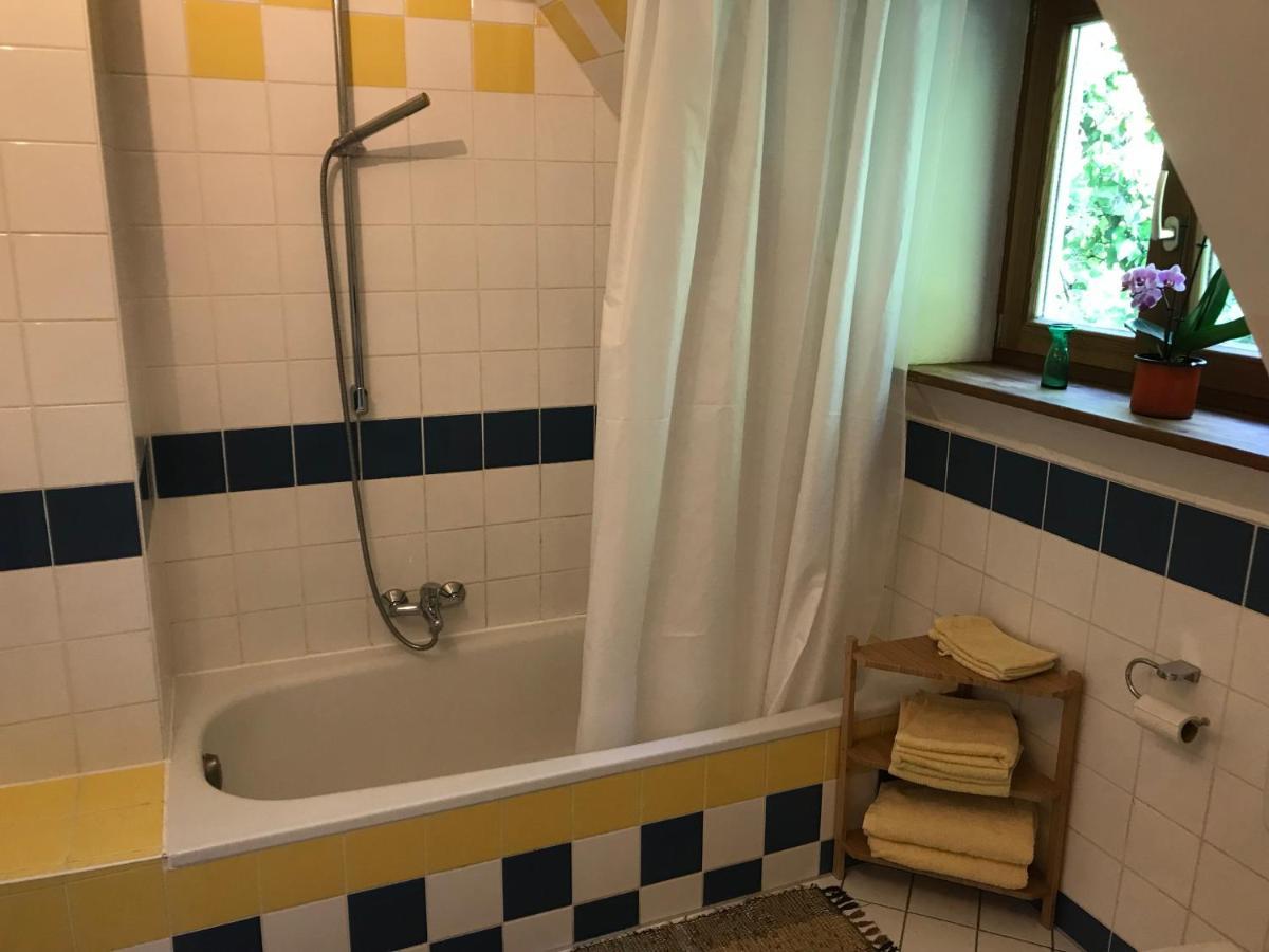Charmante Altbau-dg-wohnung