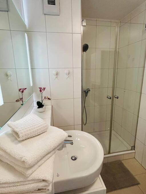 Gemutliche 3-zimmer * Munich