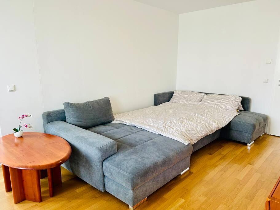 Gemutliche 3-zimmer Apartment