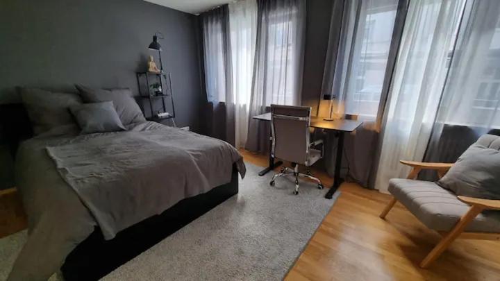 Ickstatt Studio Apartment *