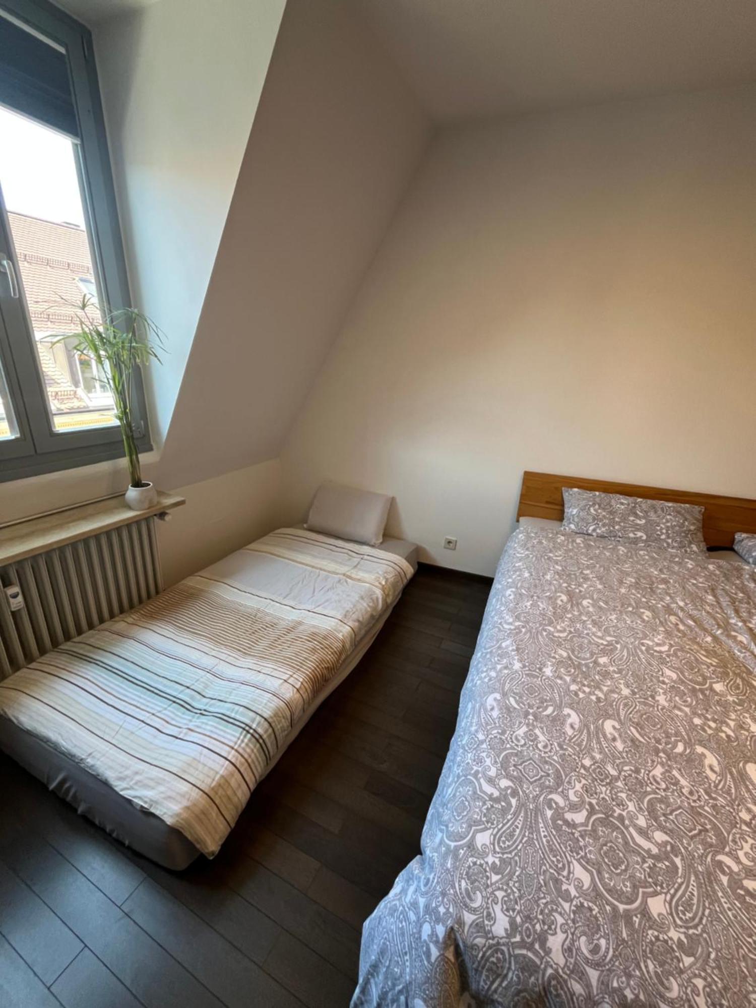 Apartment City-apartment With Private Rooftop Terrace Munich
