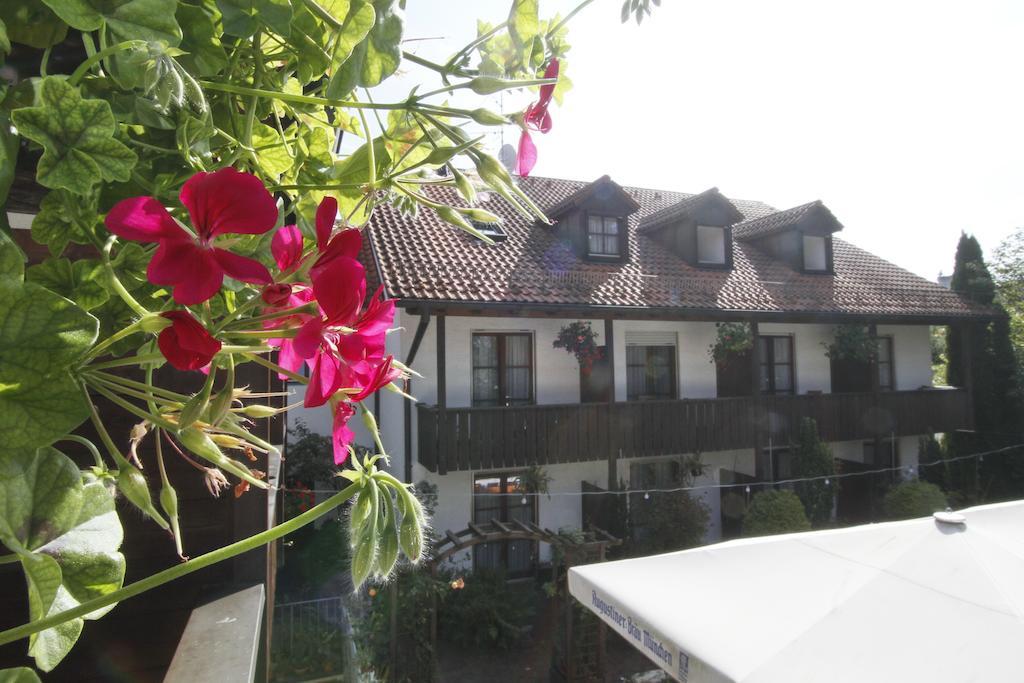Neumayr