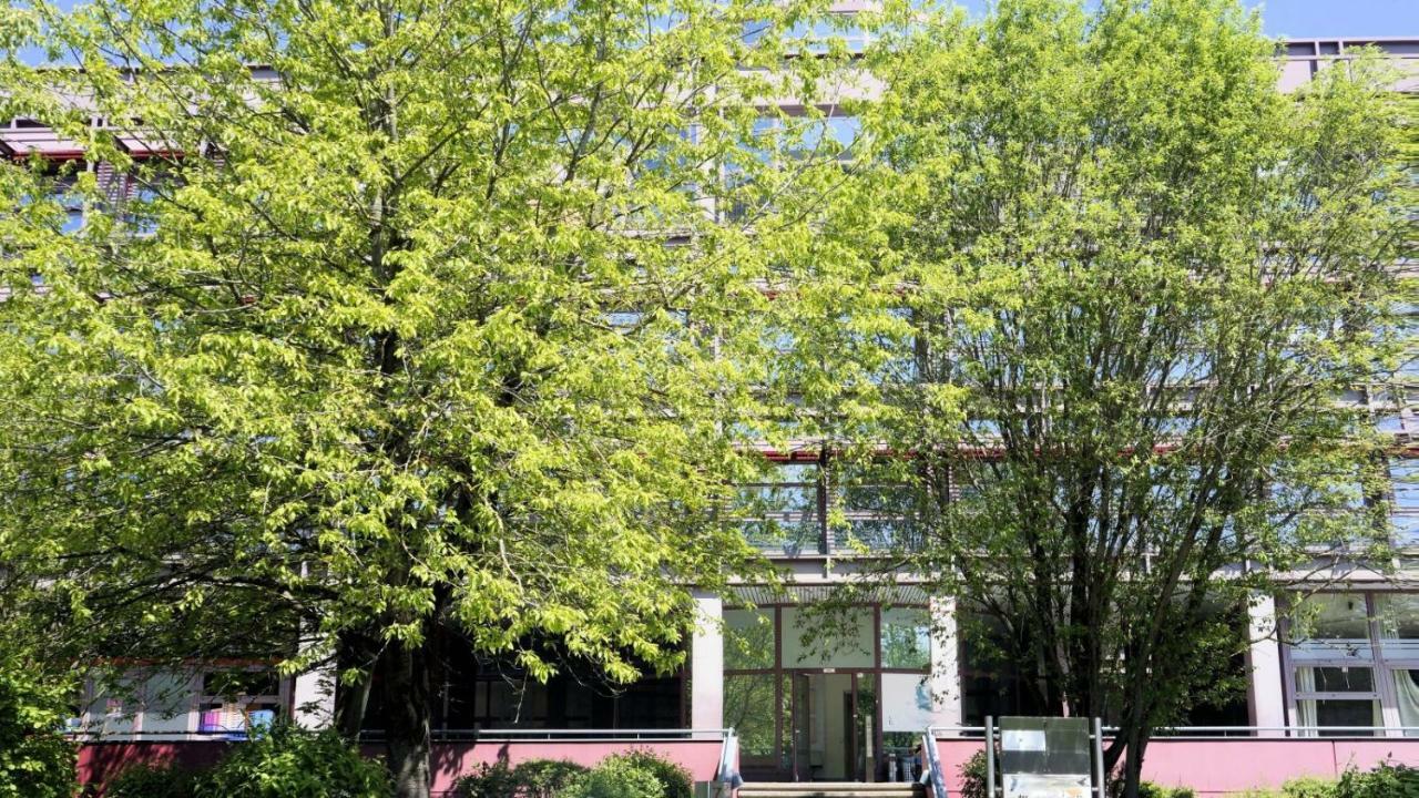 Budget Albergue Munique