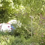 The Tent - Youth Only - Buchung Leider Nur Bis 30 Jahre Moeglich!