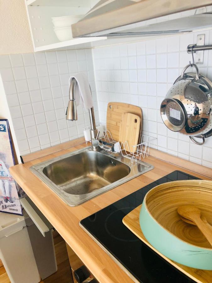 Apartment Cozy Dachgeschoss-atelier *