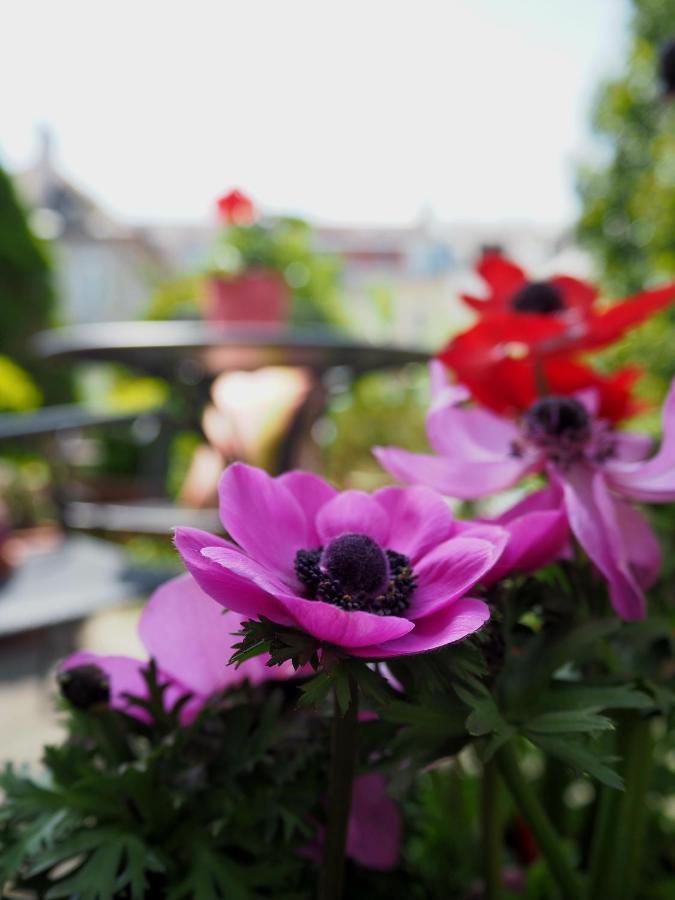 Altschwabing - Boutique