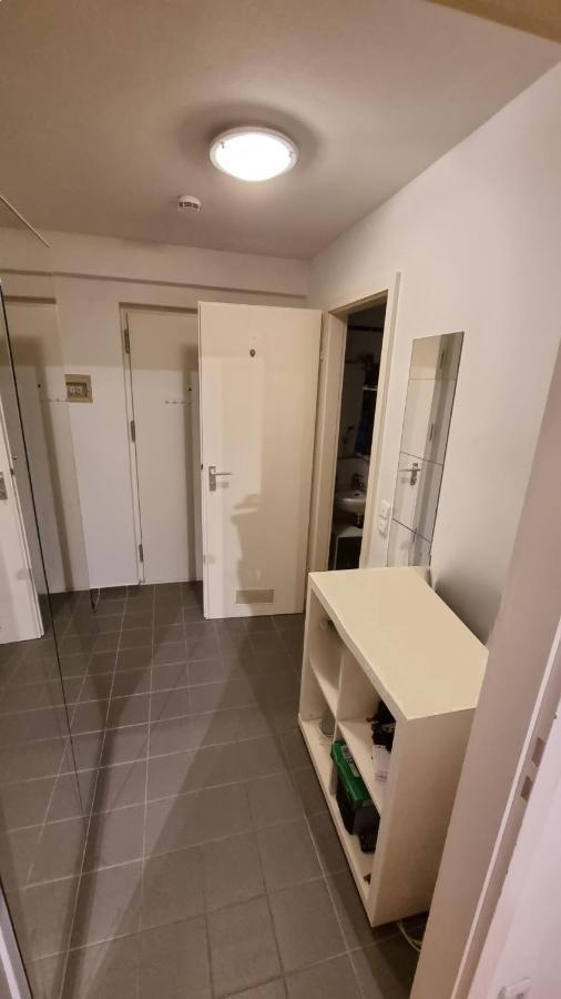 Schwabing With Garden Views Apartment Munich