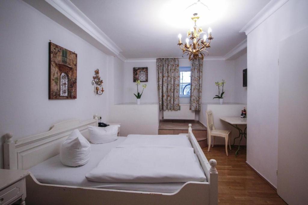 Seibel 3*
