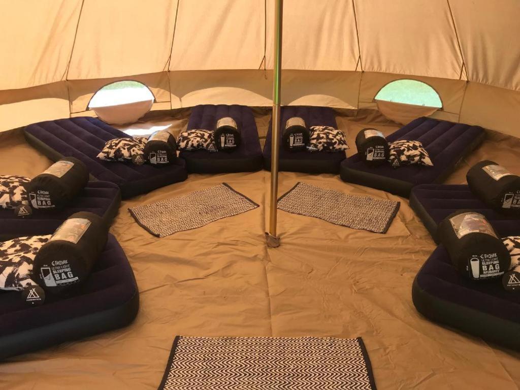 Festanation Oktoberfest Camp #1 Campsite