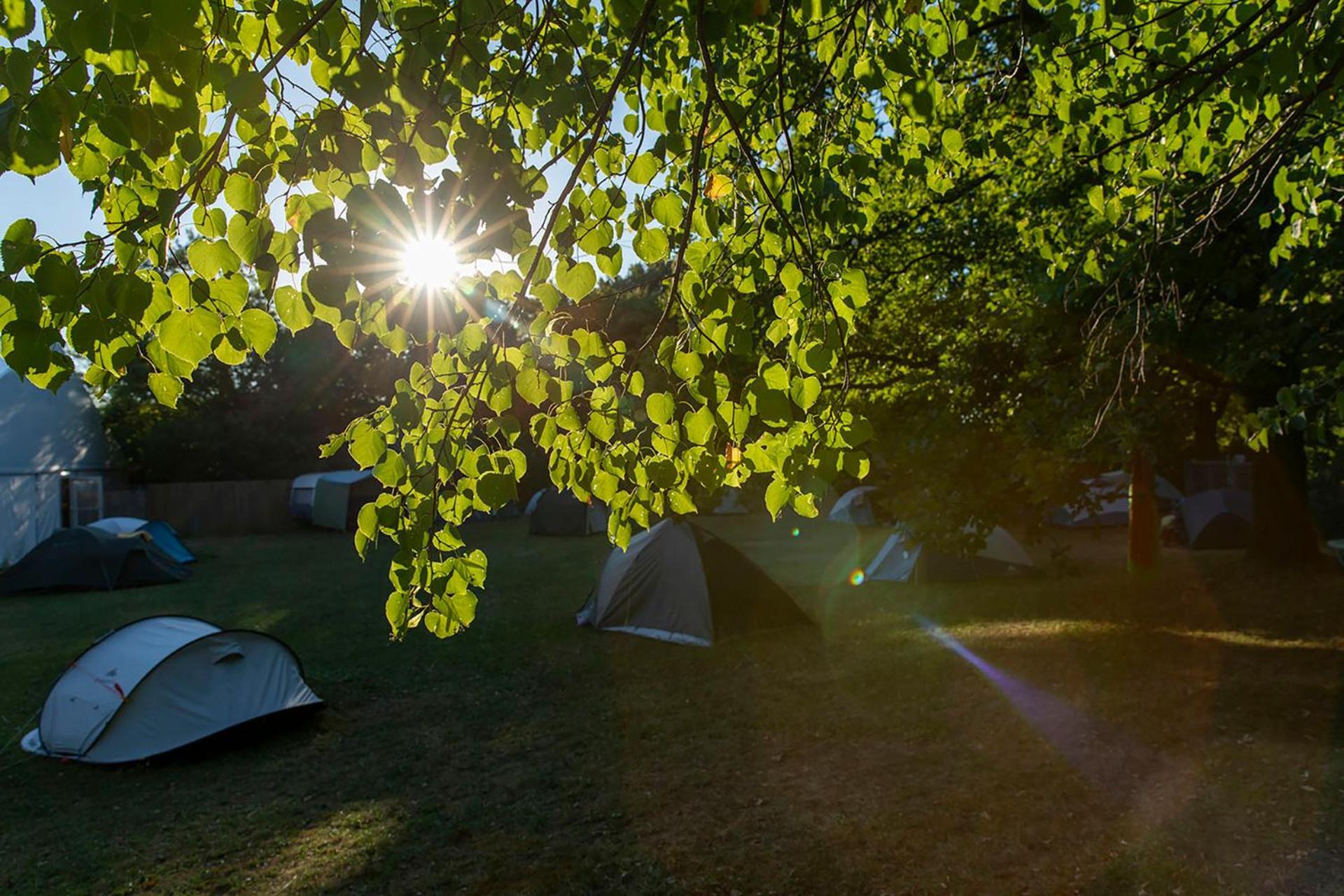 The Tent - Youth Only - Buchung Leider Nur Bis 30 Jahre Moeglich! *