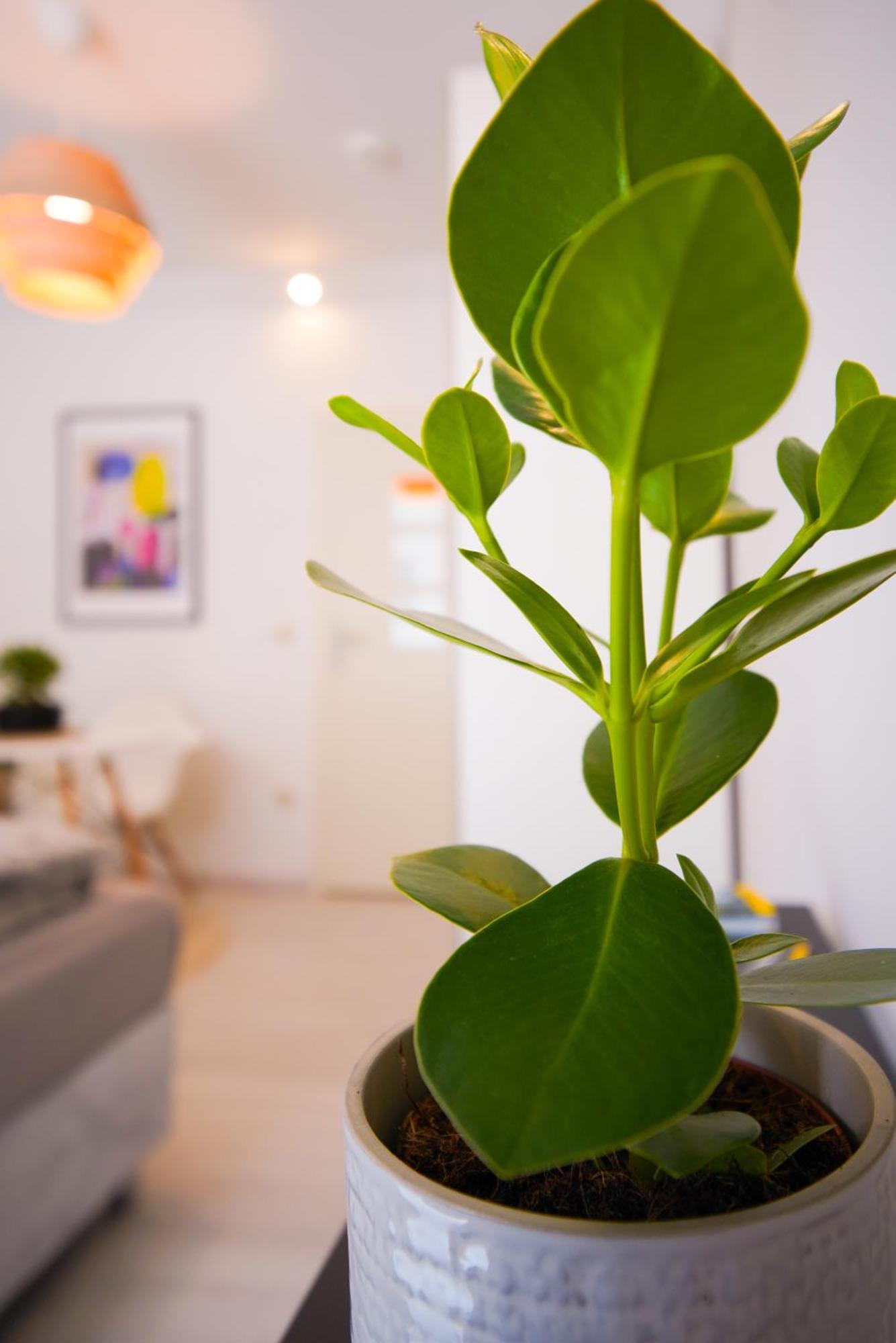 Stilvolles Im Laessigsten Viertel Apartment *