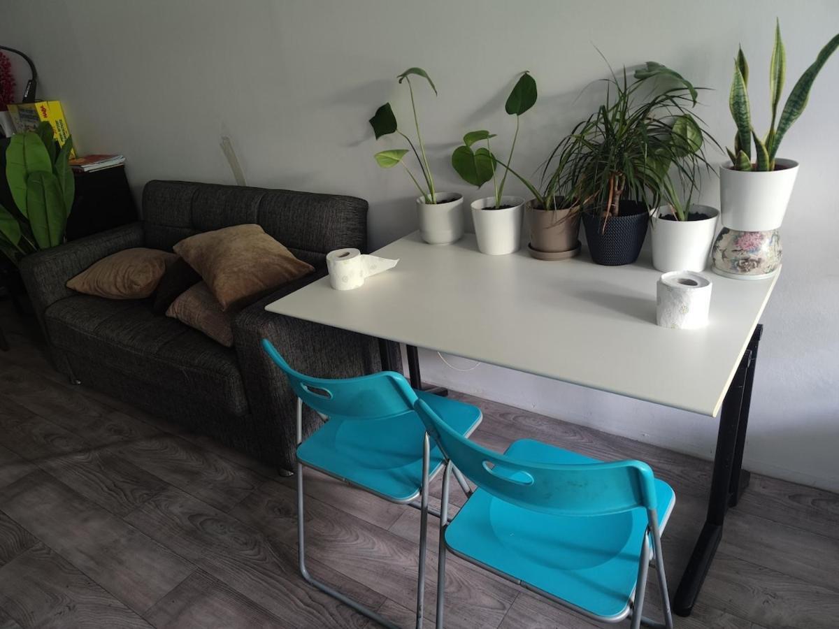 Homestay M Zone, Quiet Large Living Room, Terrace *