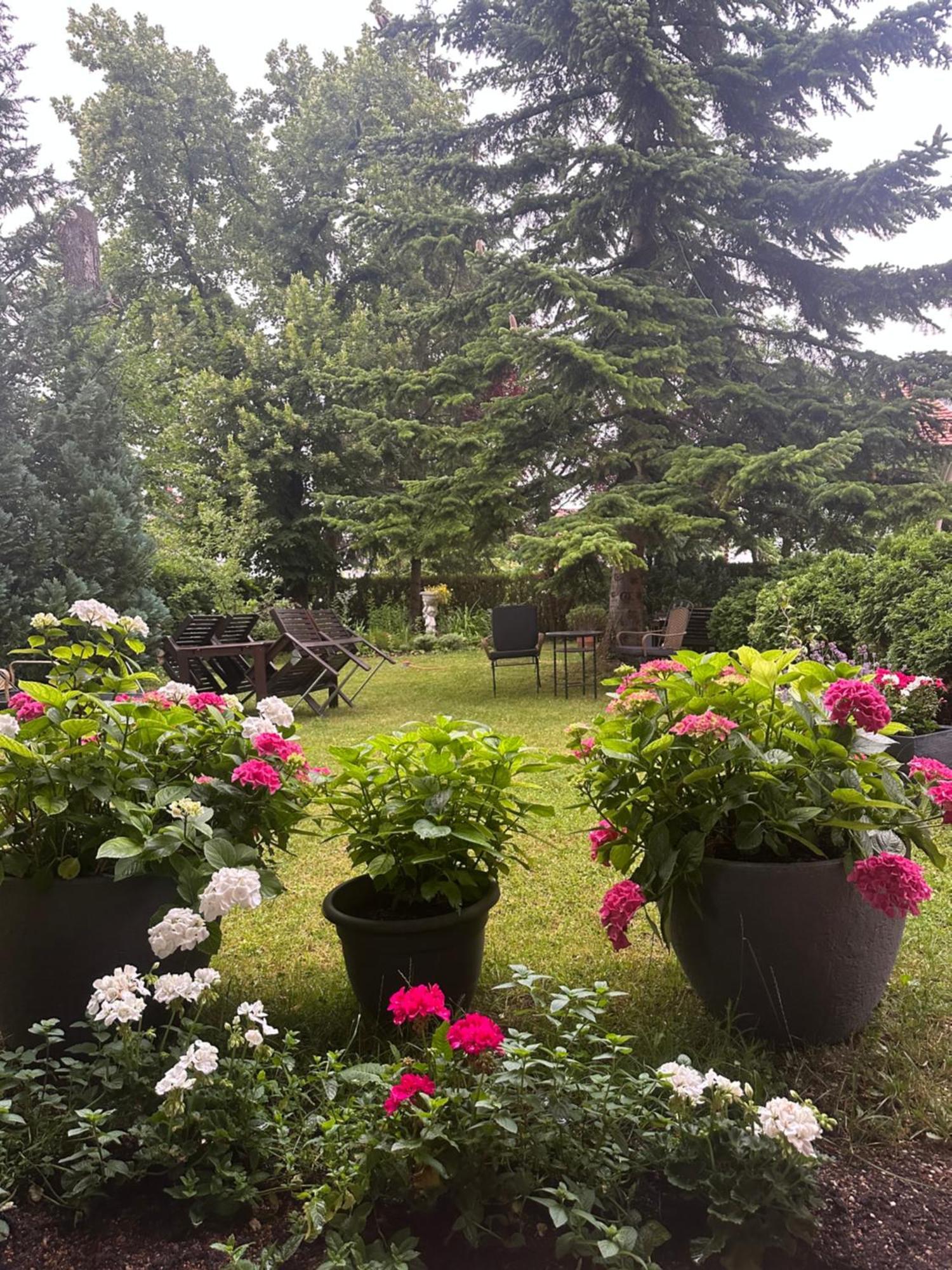 Arena Stadt Hotel 3*