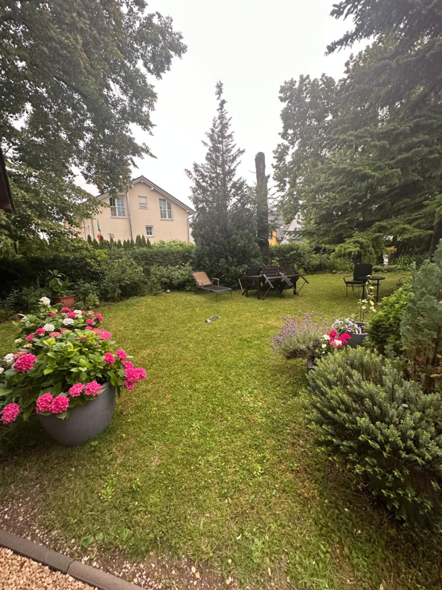 Arena Stadt Hotel 3*