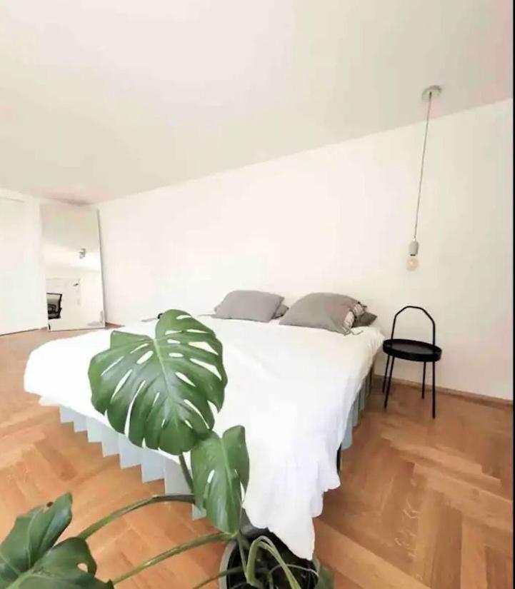 Apartment Beautiful In