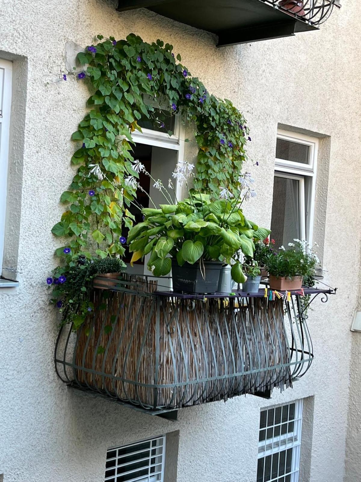 Apartment Connected Near Ostbahnhof With Balcony Munich