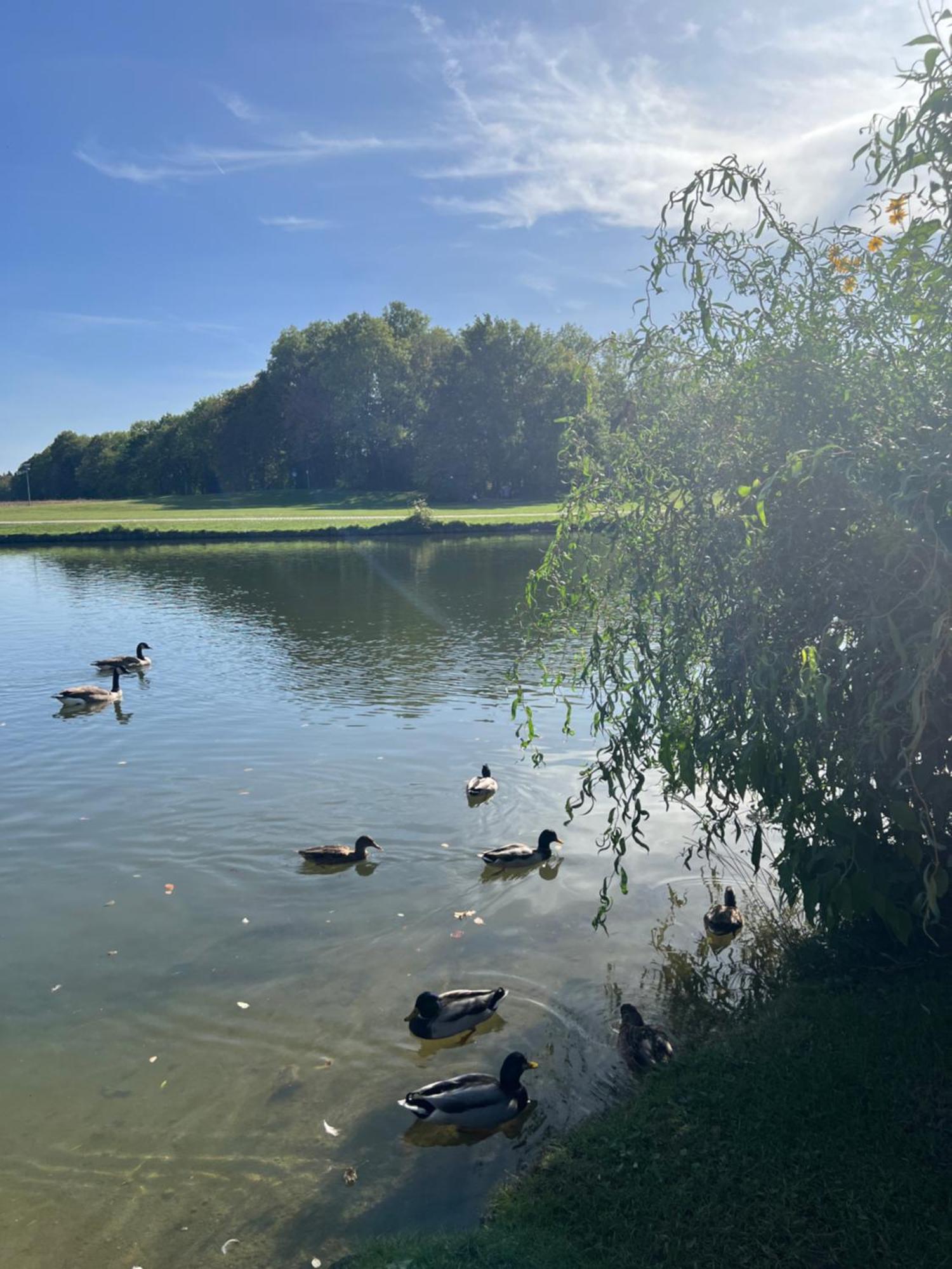 15 Qm Mit Gemeinschaftsbad * Munich