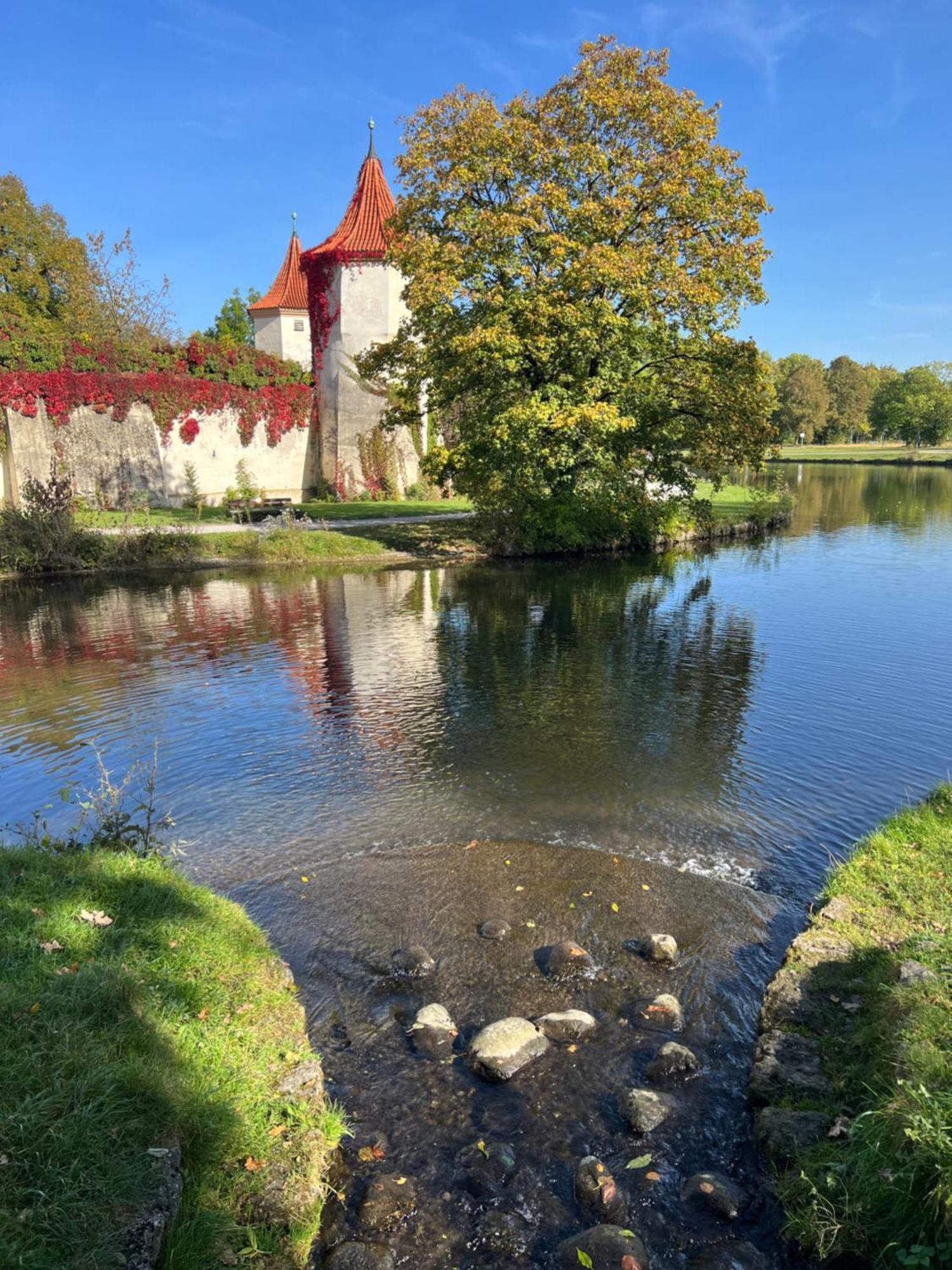 15 Qm Mit Gemeinschaftsbad Homestay Munich