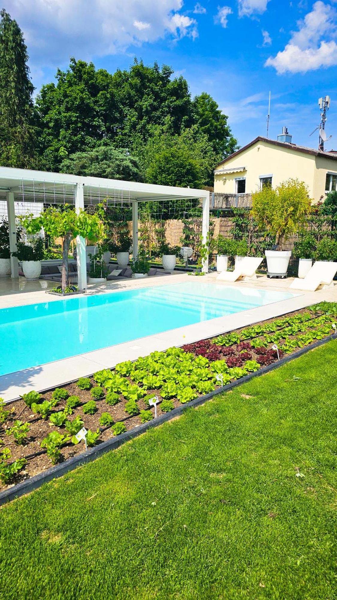 Luxurious Large With Pool, Garden, Koi Pond *