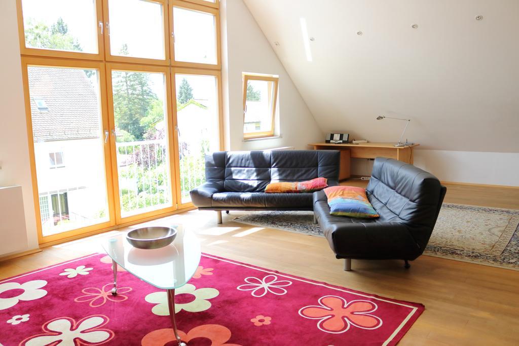 Dachgalerie 110 M2 Apartment