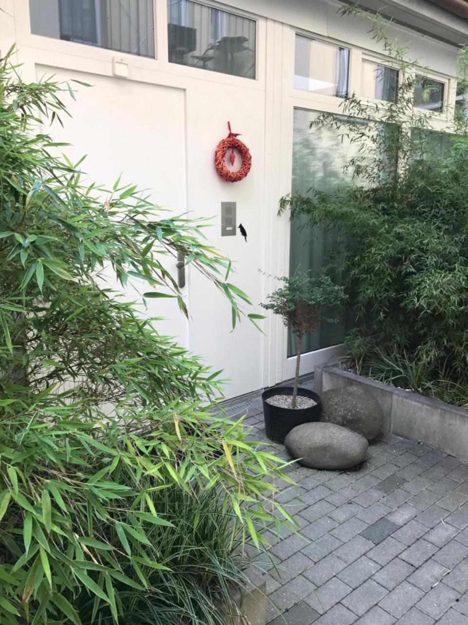 Apartment Design-apartment Close To Isar River Area - Centrally Located *