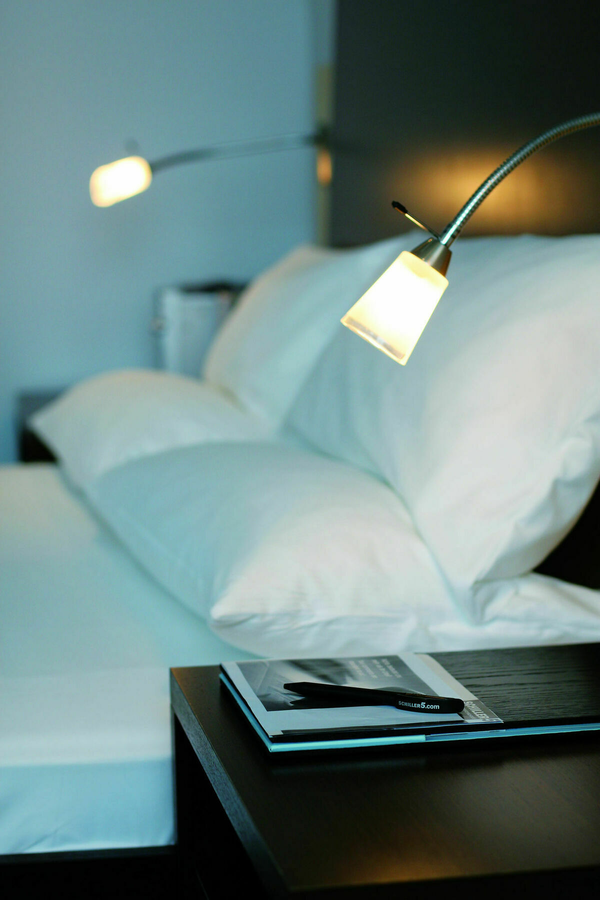 Hotel Schiller 5