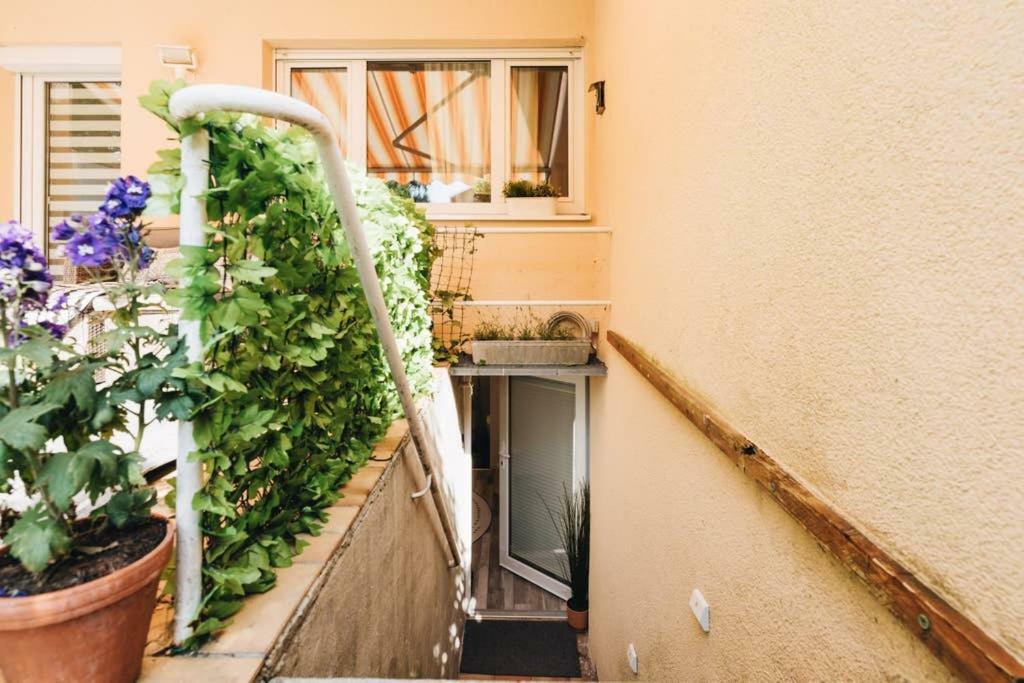 Souterrain Solln 20min Oktoberfest/zentrum Apartamento Munique