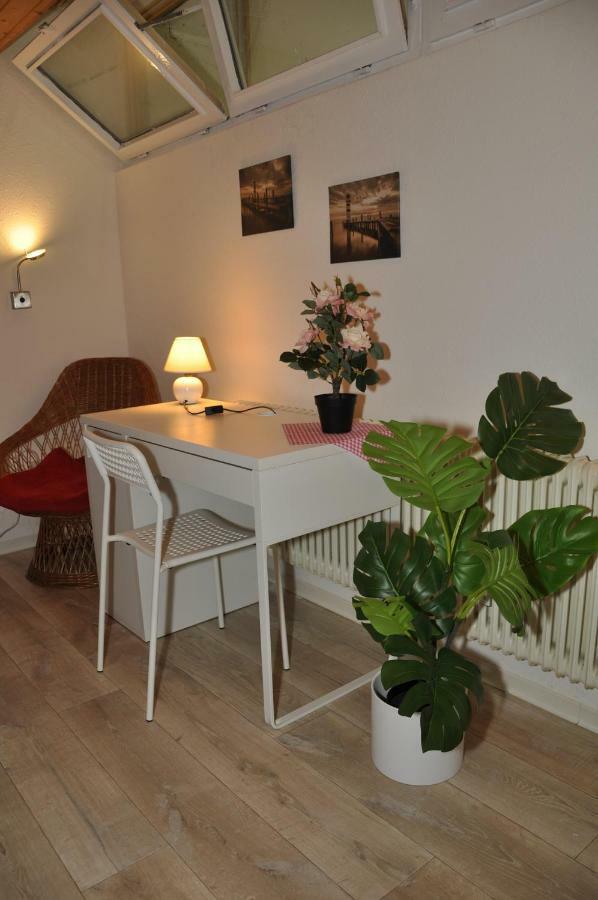 Overnight Oasis Homestay