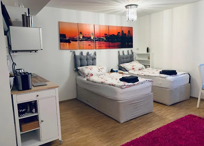Private, Dog-Friendly Room- Easy Access To City Centre And Trade Fair- Free Parking