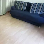 Family House In Schwabing