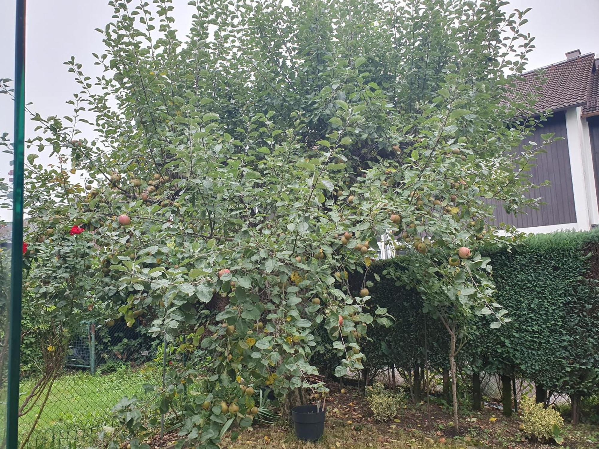 80m2 Garten-duplexwohnung In Altperlach *