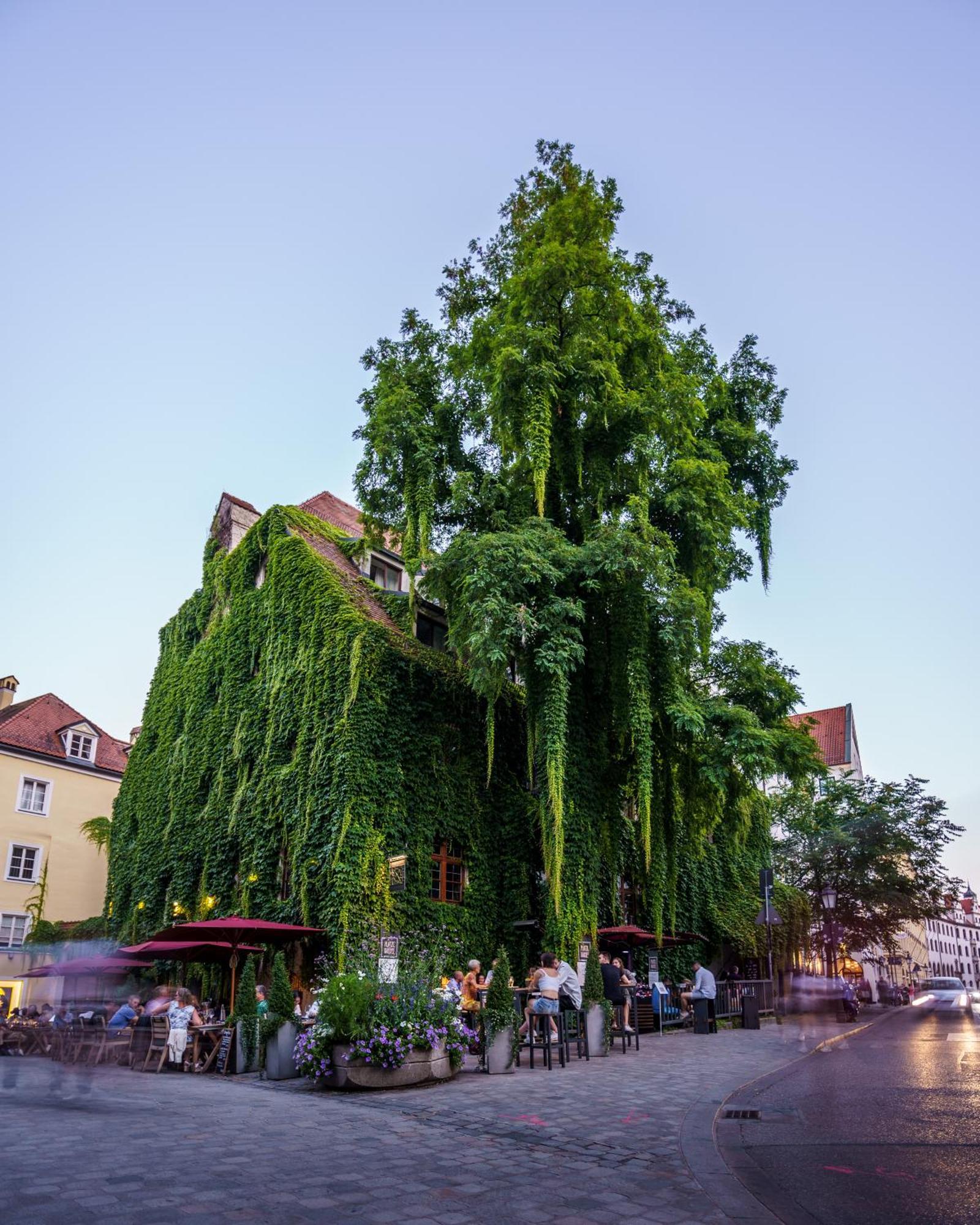 Hotel Platzl
