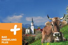 mehr Infos mehr Infos